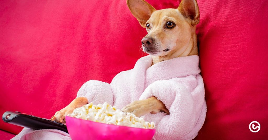 teachers:-the-best-netflix-series-to-binge-(holiday-edition)