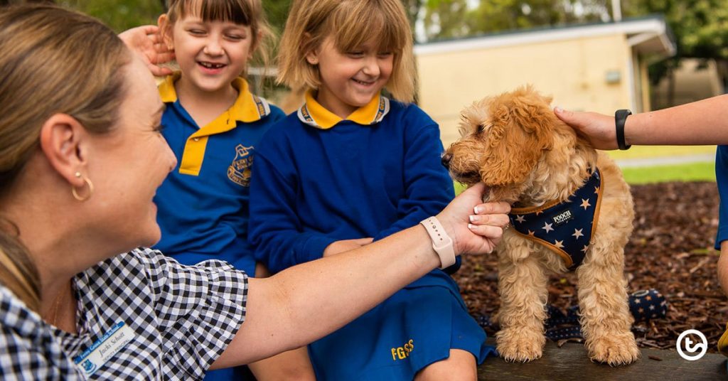 meet-auggie:-the-school-therapy-dog-impacting-kids-and-staff