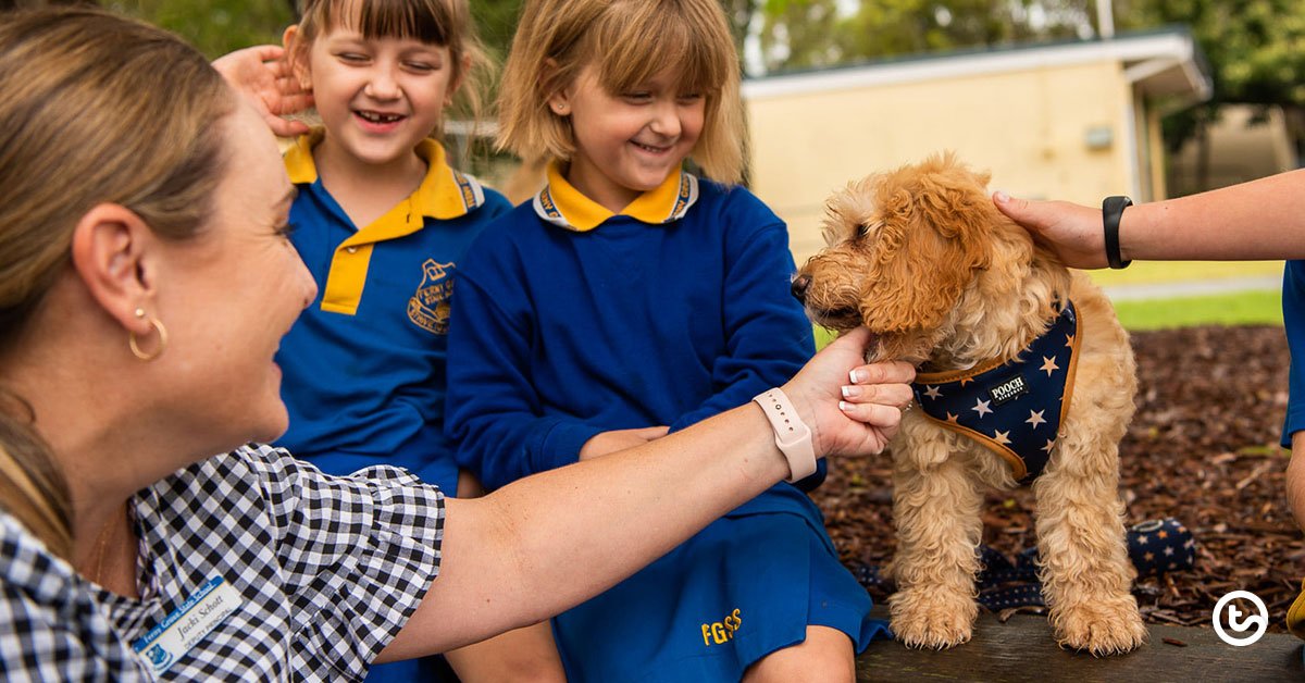 Meet Auggie: The School Therapy Dog Impacting Kids and Staff ~ Teachers ...