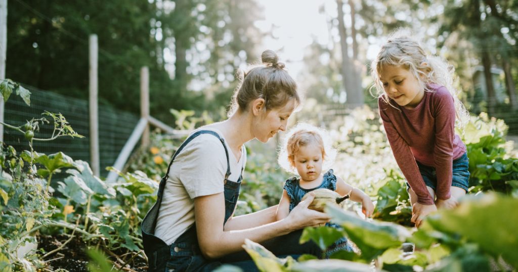 in-the-defence-of-care